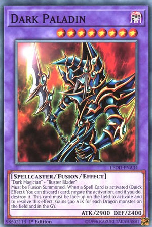 Dark Paladin