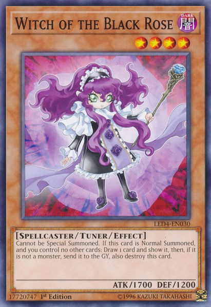 Witch of the Black Rose