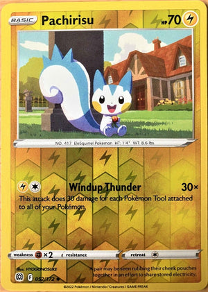 Pachirisu