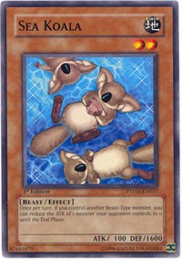 Sea Koala
