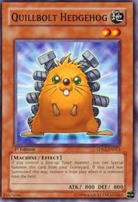 Quillbolt Hedgehog