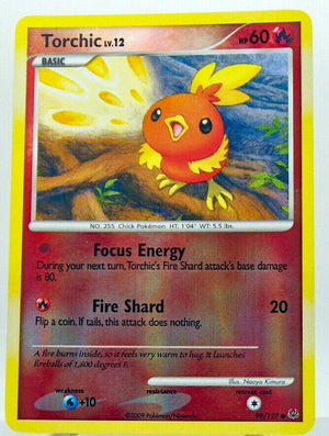 Torchic