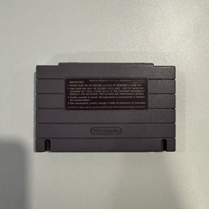 Donkey Kong Country 3: Dixie Kong's Double Trouble (cartridge only)